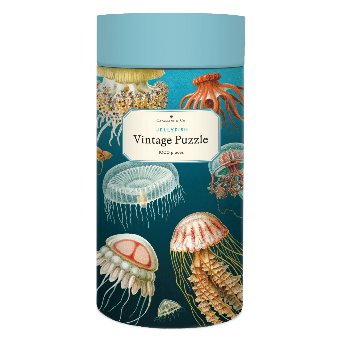 Cavallini round puzzle box with a blue lid and blue ombre case, adorned with vintage jellyfish illustrations.