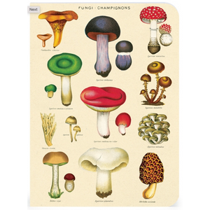 Cavallini & Co. 3 Mini Notebooks - Le Jardin