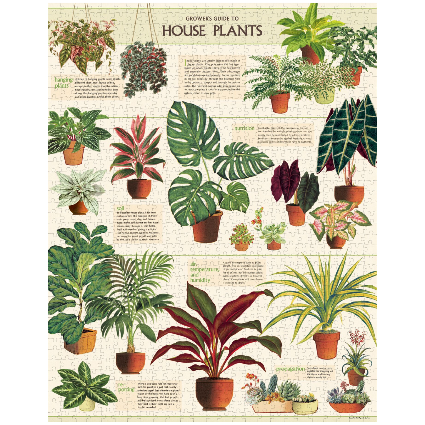 Cavallini & Co. 1000 Piece Puzzle - House Plants