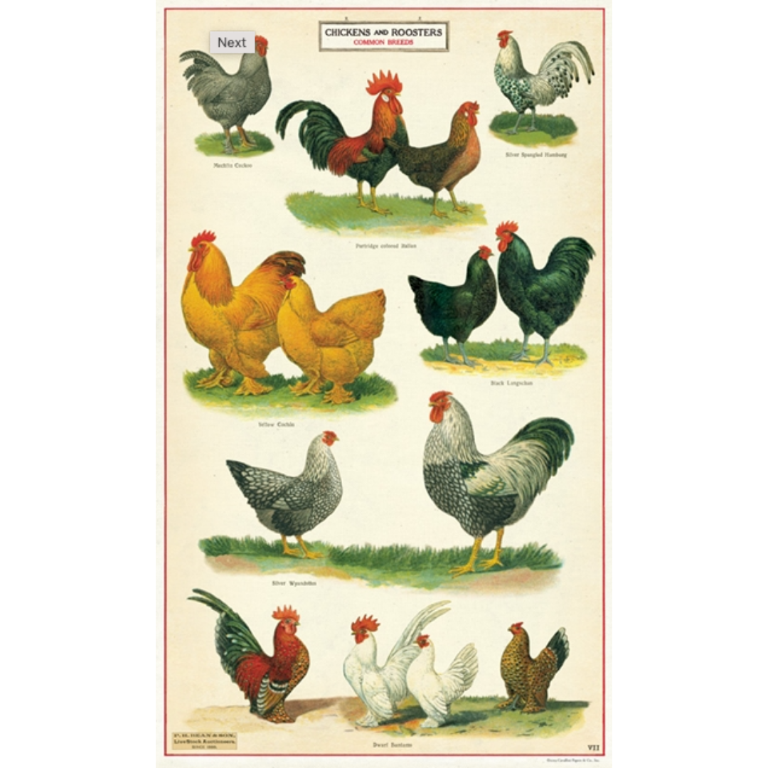 Cavallini & Co. Tea Towel - Chickens