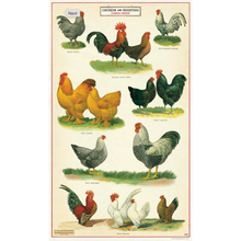 Load image into Gallery viewer, Cavallini &amp; Co. Tea Towel - Chickens
