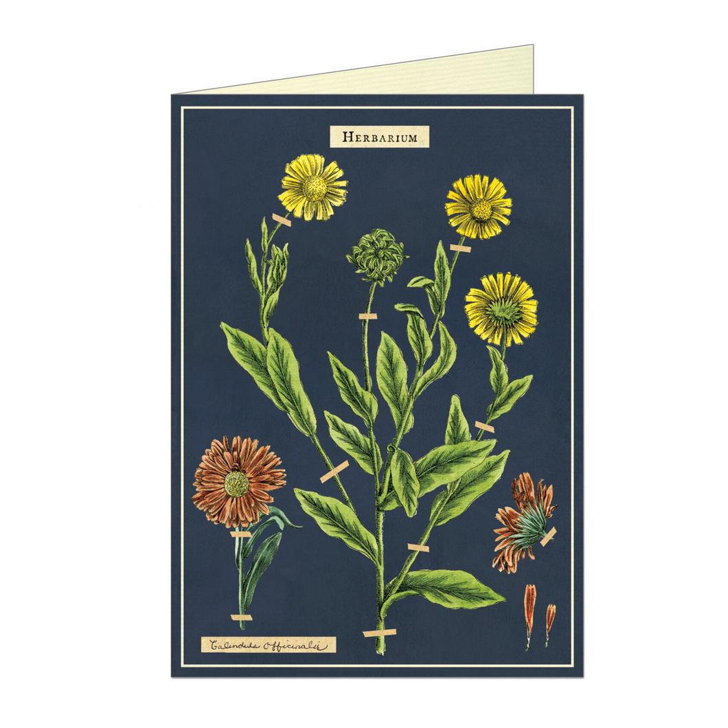 Vintage birthday card featuring herbarium flowers, on a navy blue background