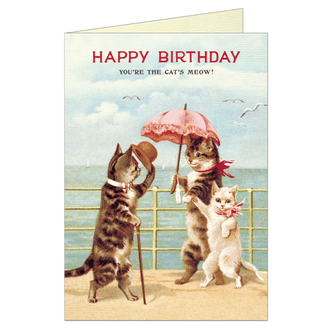 Vintage birthday card featuring a well dressed male cat waving his hat to two female cats, near the seaside