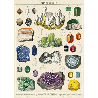 Cavallini poster adorned with vintage rock, geology, gem, and mineral illustrations.