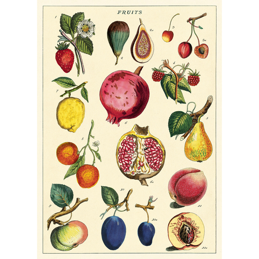 An art print and paper wrap which features various types of fruit