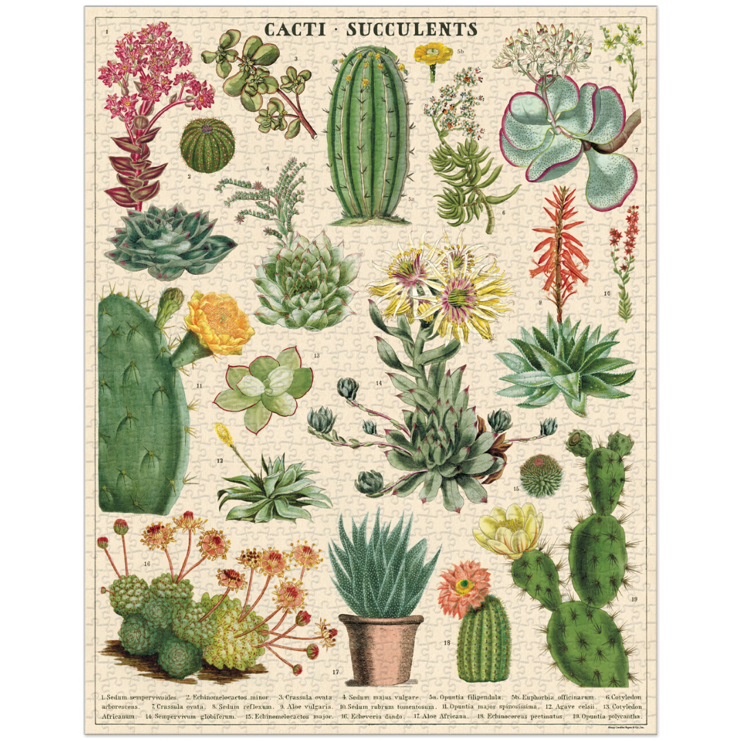 cacti succulents puzzle Cacti & Succulents Puzzle