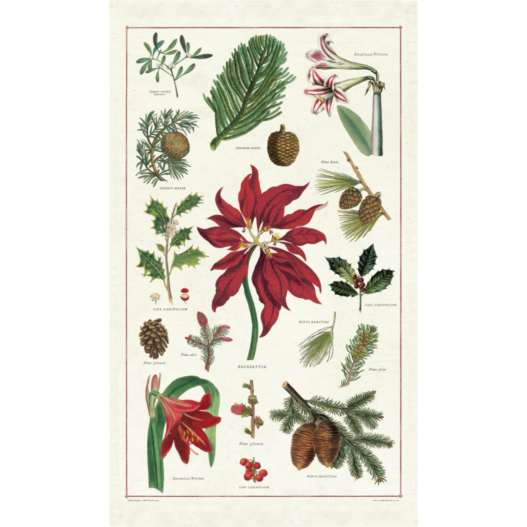 Cavallini & Co. Tea Towel - Christmas Botanica