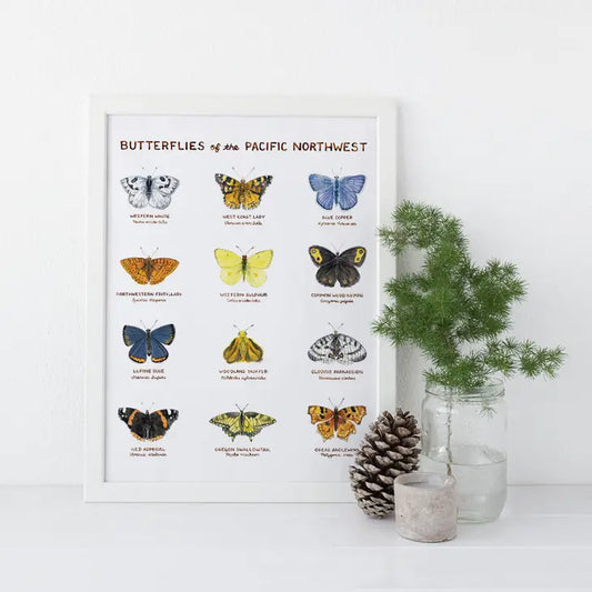 Butterflies of the Pacific Northwest 11"x14" Art Print