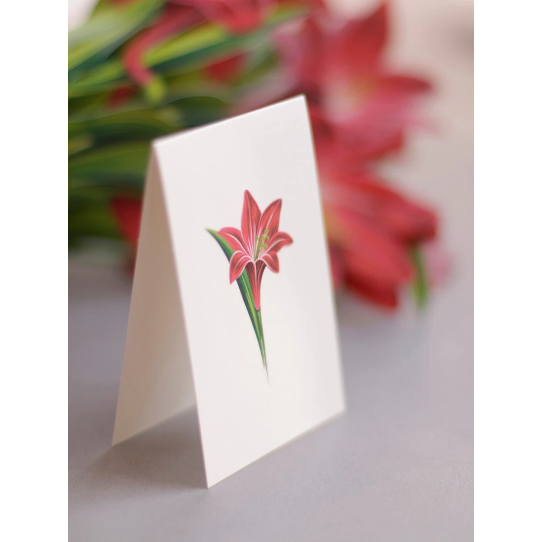 Red Amaryllis Fresh Cut Paper Card