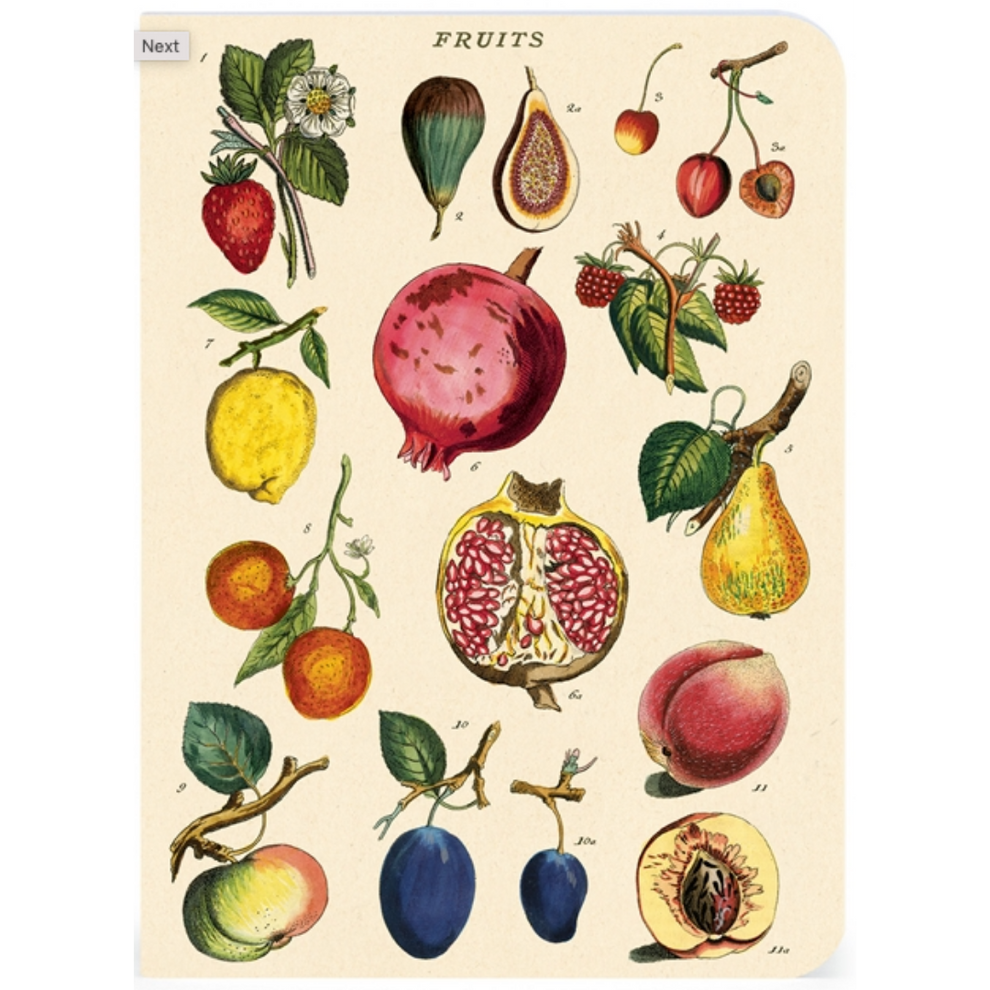 Cavallini & Co. 3 Mini Notebooks - Le Jardin – Stocklist