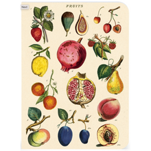 Load image into Gallery viewer, Cavallini &amp; Co. 3 Mini Notebooks - Le Jardin
