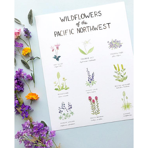 Pacific Northwest Wildflowers 11"x14" Art Print