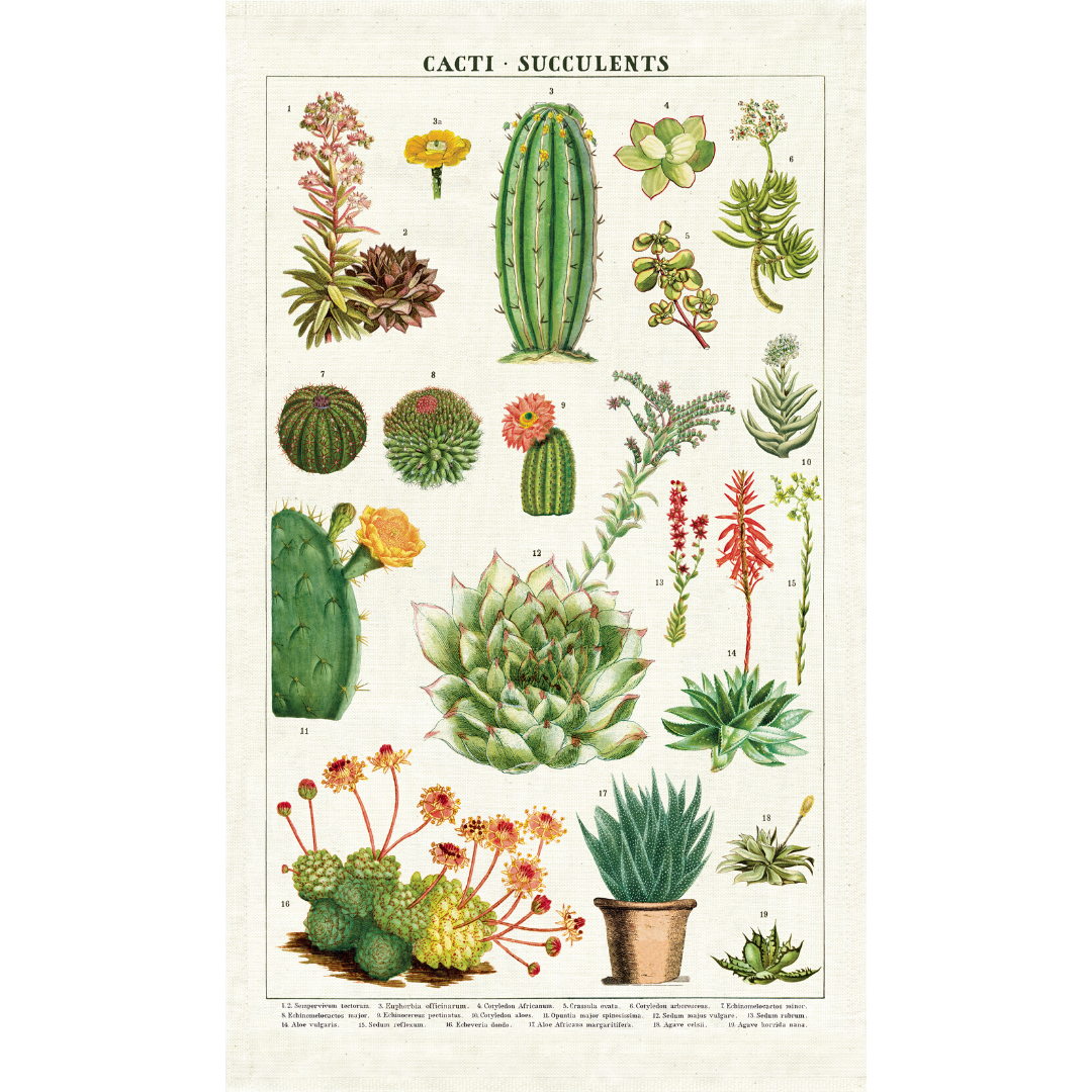 Cavallini & Co. Tea Towel - Succulents