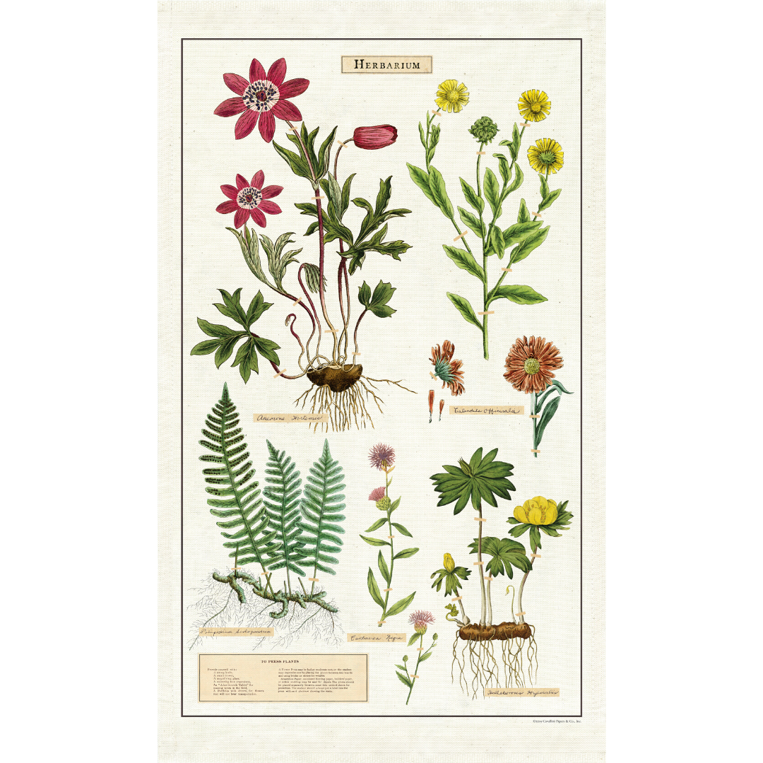 Cavallini & Co. Tea Towel - Herbarium