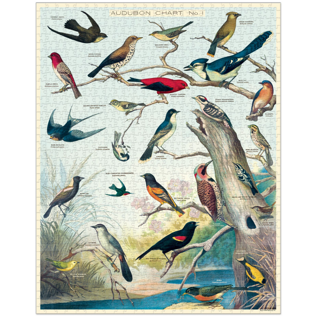 Cavallini & Co. 1000 Piece Puzzle - Audubon Birds