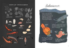 Ocean Anatomy - Paperback