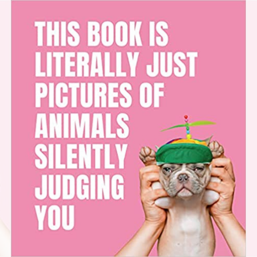 This Book is Literally Just Pictures of Animals Silently Judging You