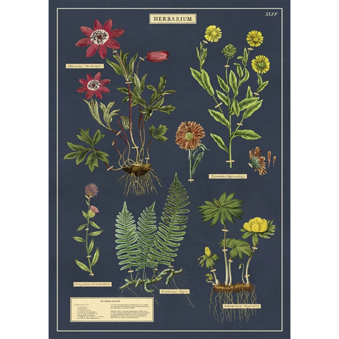 An art print and paper wrap which features various species of flowering plants and herbs
