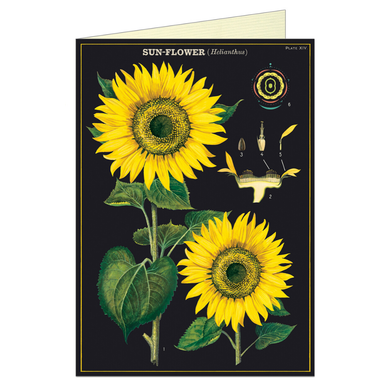 Vintage greeting card featuring sunflowers, on a black background.