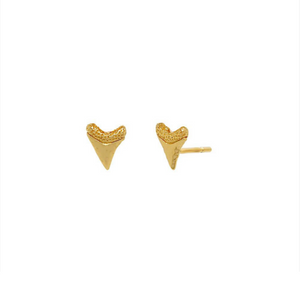Baby Shark Tooth Studs Gold