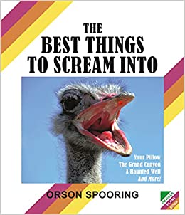 Best Things to Scream Into