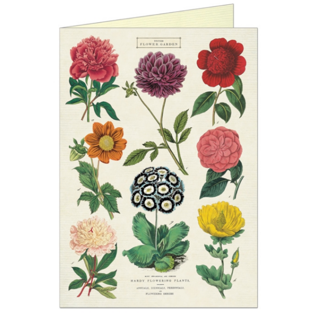 Cavallini & Co. Greeting Card - Botanica