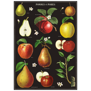 Cavallini & Co. Wrap - Apples & Pears