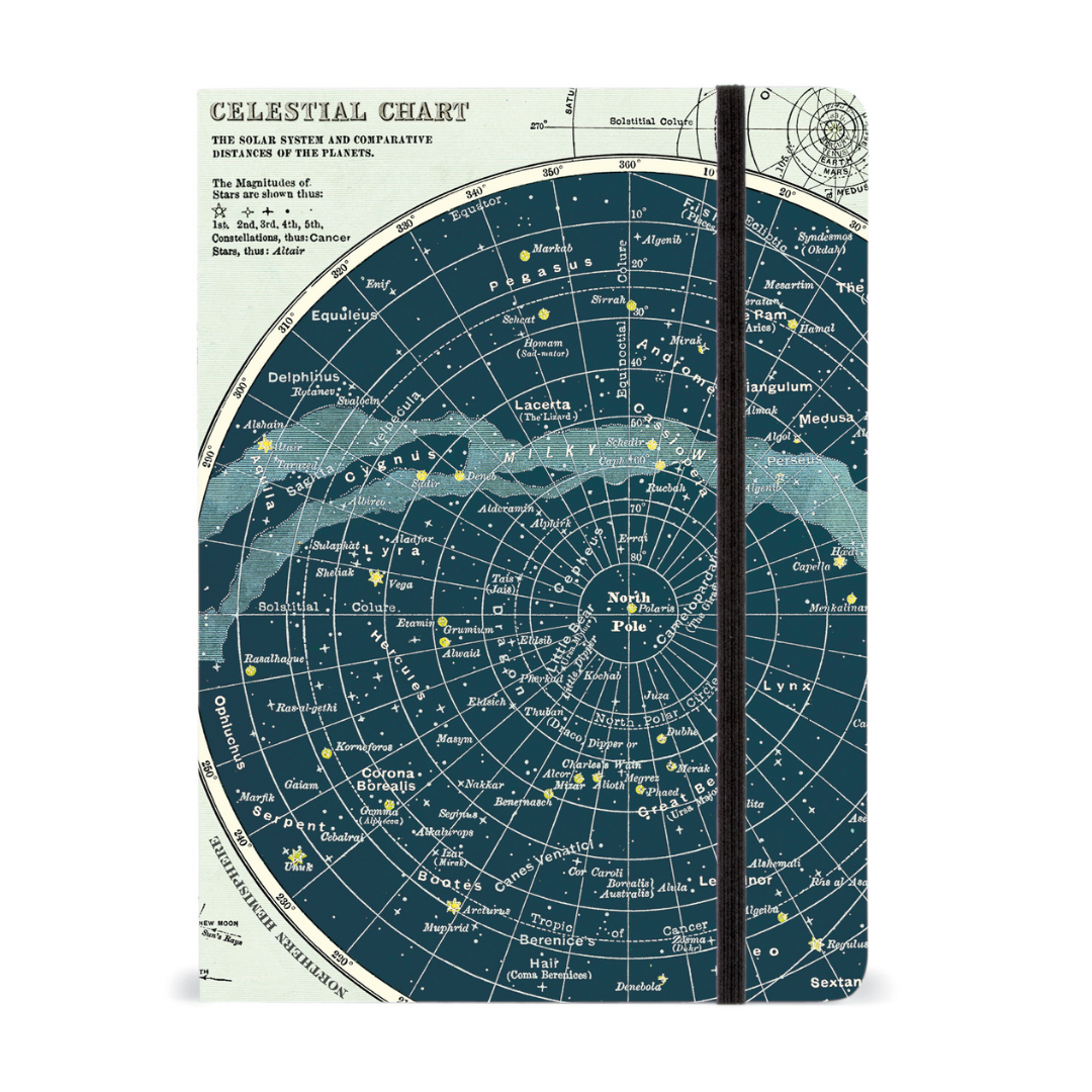 Cavallini & Co. Large Notebook - Celestial