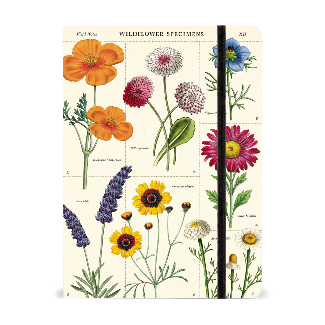 Cavallini & Co. Large Notebook - Wildflower