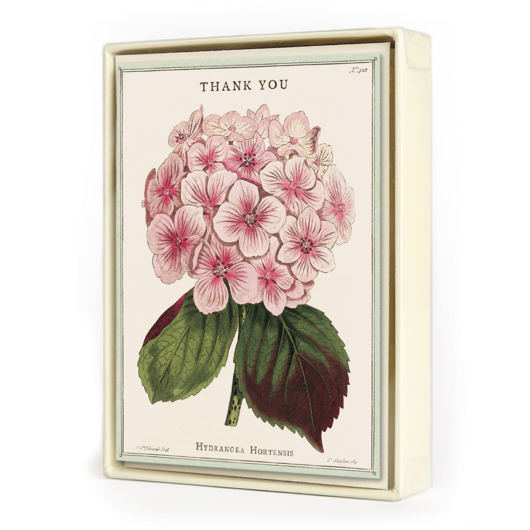 Cavallini & Co. Boxed Note Cards - Thank You Fleur 1
