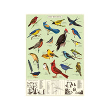 Load image into Gallery viewer, Cavallini &amp; Co. Wrap - Study of Birds
