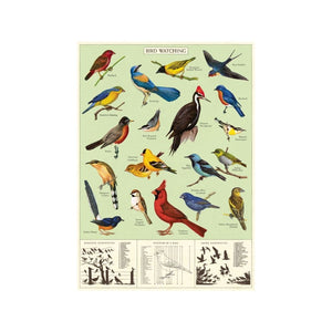 Cavallini & Co. Wrap - Study of Birds