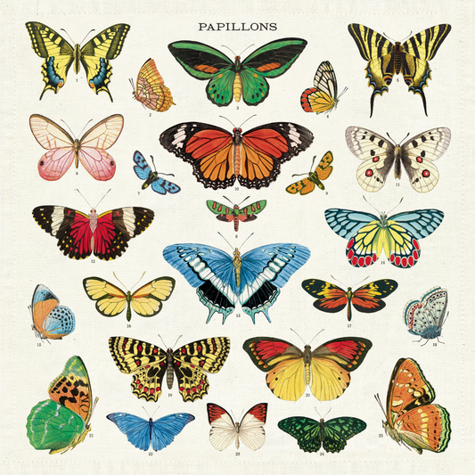 Cavallini & Co. Cloth Napkin Set of 4 - Butterflies