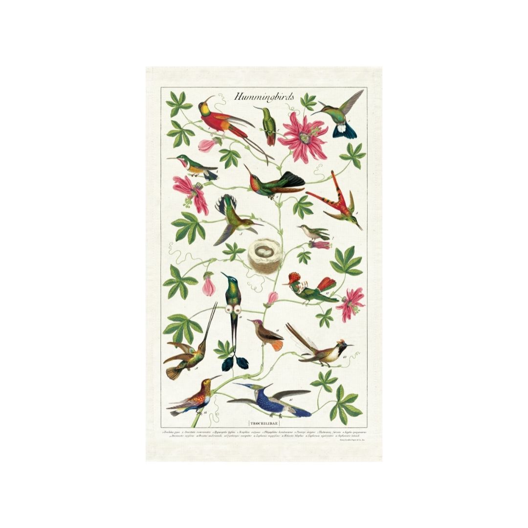 Cavallini & Co. Tea Towel - Hummingbird