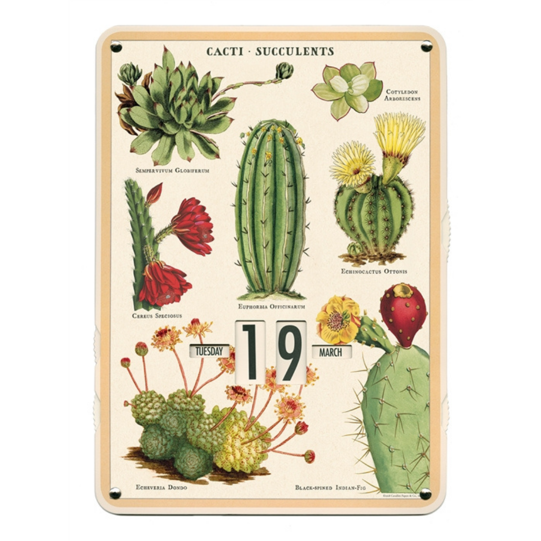 Cavallini & Co. Perpetual Calendar - Succulents