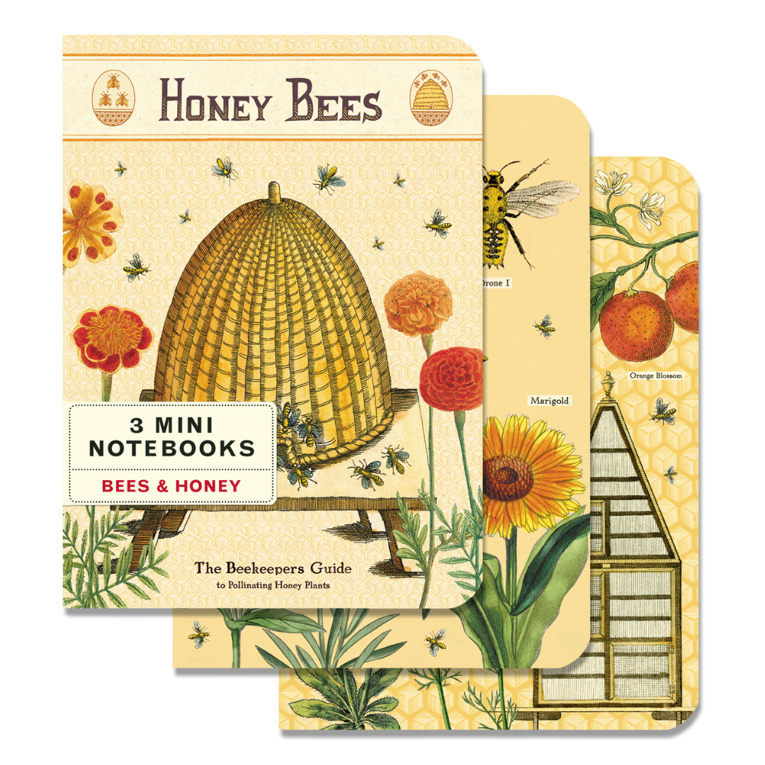 Set of three mini notebooks with honey bee and floral design on a white background