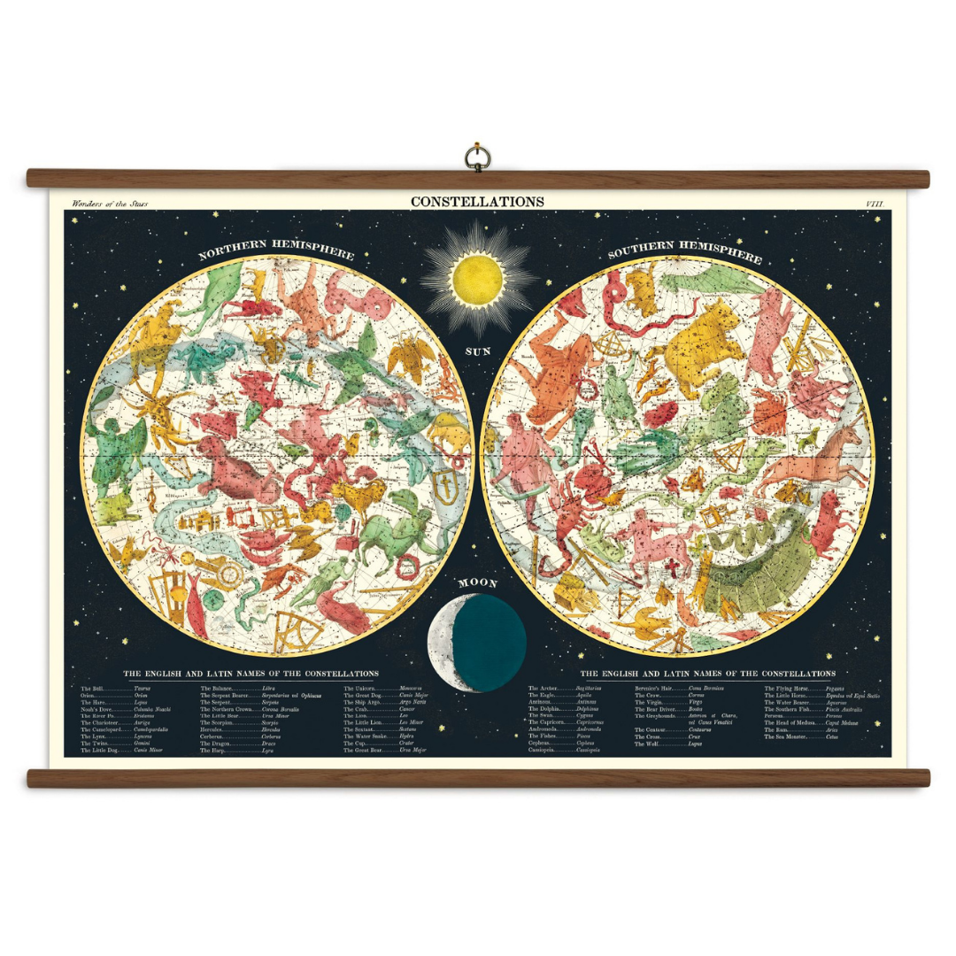 Cavallini & Co. Vintage School Chart - Constellations