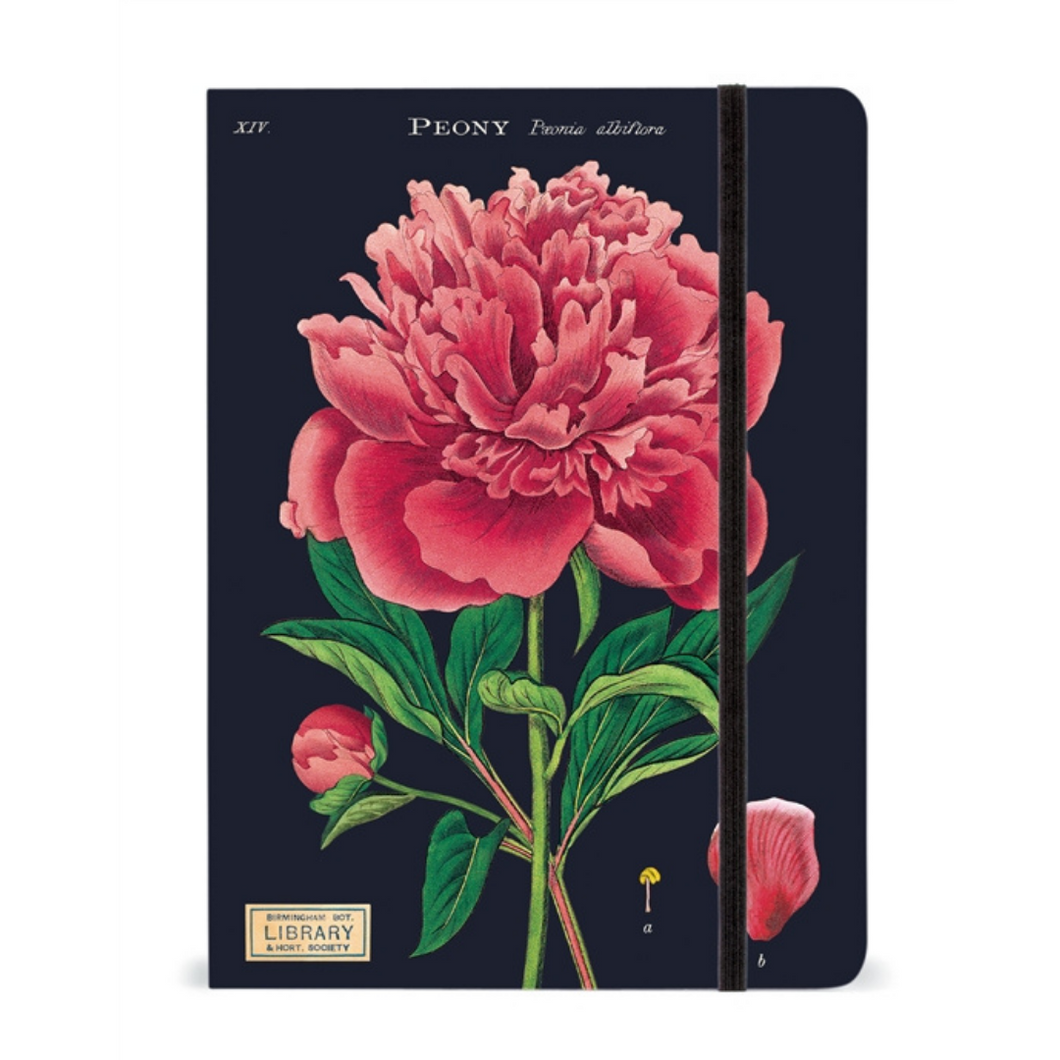 Cavallini & Co. Large Notebook - Botany