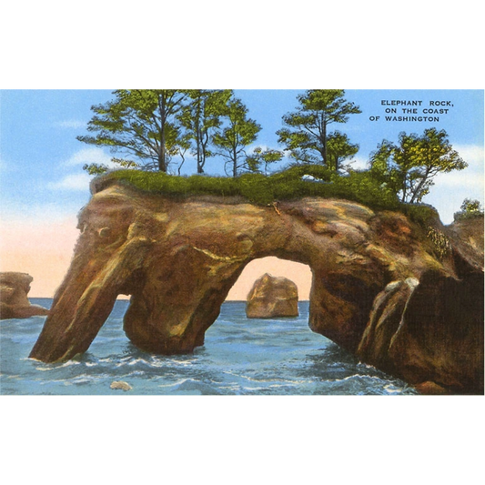 Elephant Rock Postcard