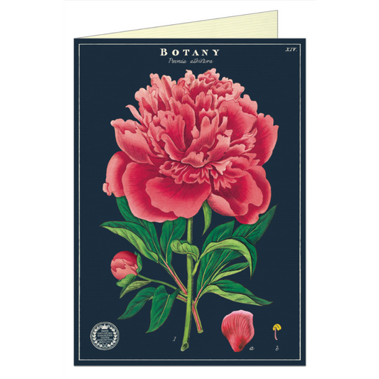Cavallini & Co. Greeting Card - Botany Series