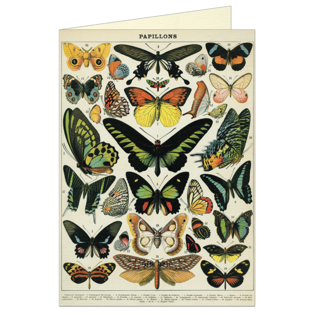 Cavallini & Co. Greeting Card - Butterflies