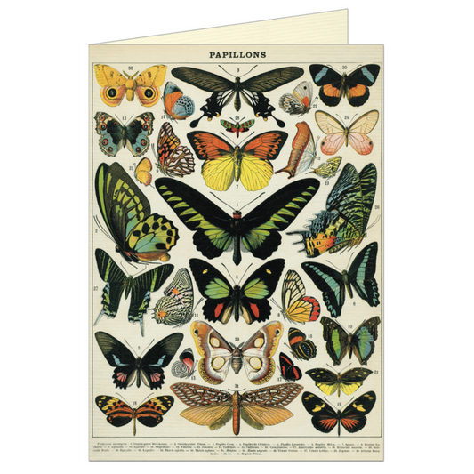 Cavallini & Co. Greeting Card - Butterflies