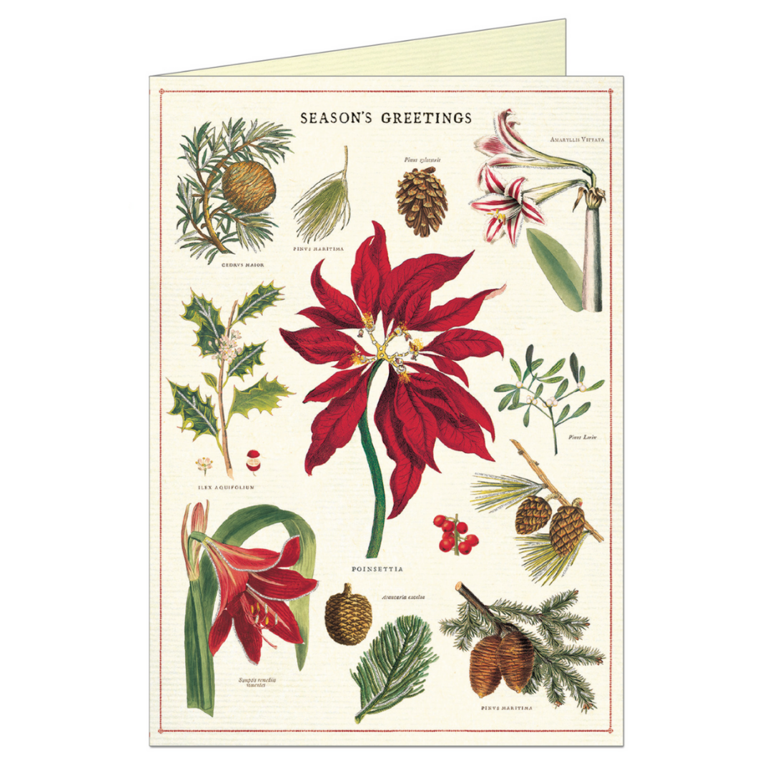 Cavallini & Co. Greeting Card - Christmas Botanica