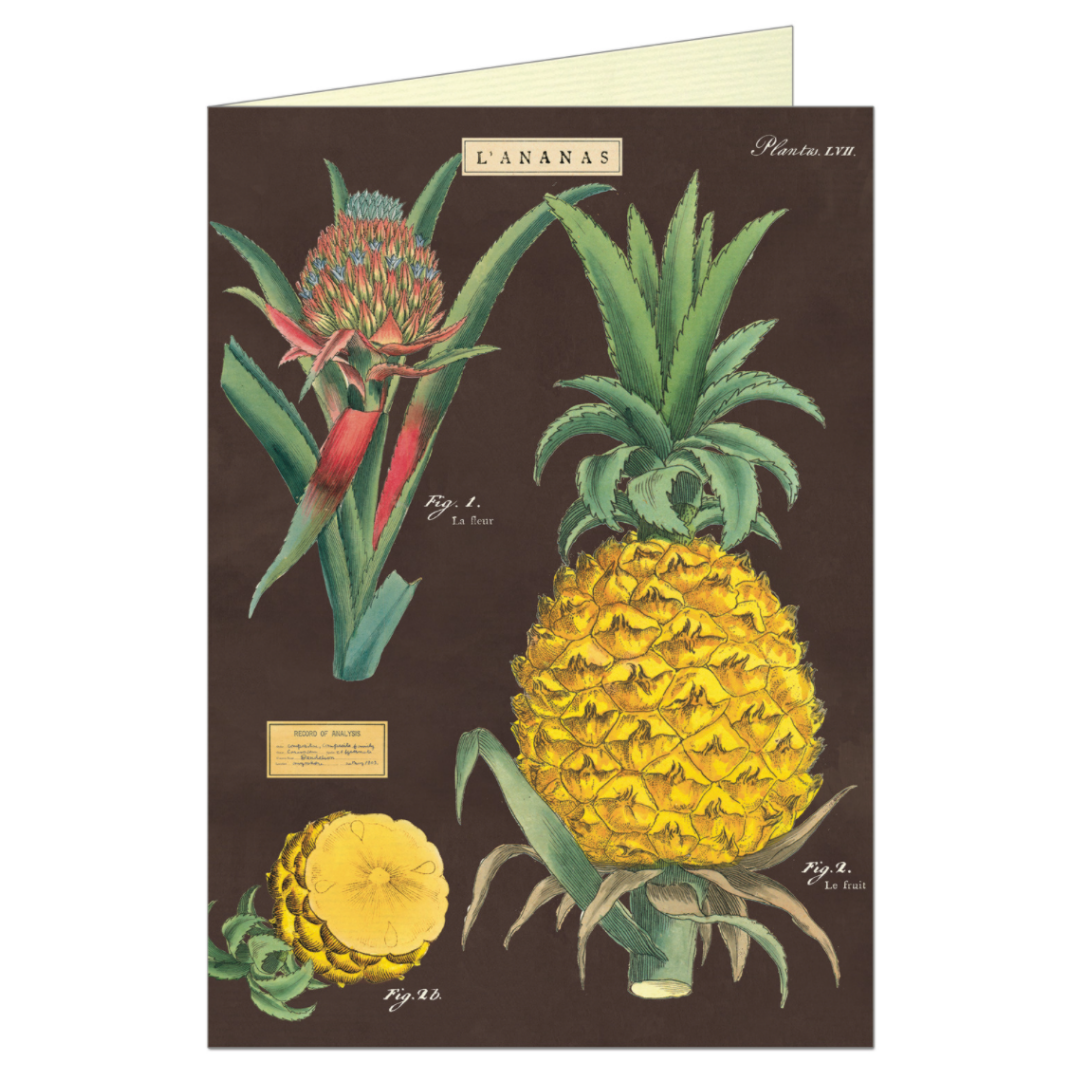 Cavallini & Co. Greeting Card - Pineapple