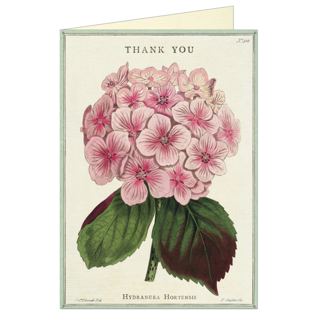 Cavallini & Co. Greeting Card - Thank You Fleur 1