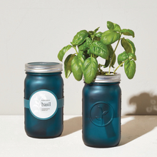 Load image into Gallery viewer, Garden Jar - Basil
