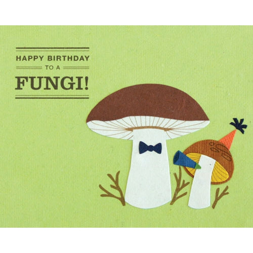 Happy Birthday Fungi