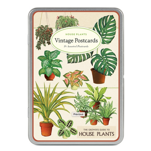 Cavallini & Co. House Plants Postcards