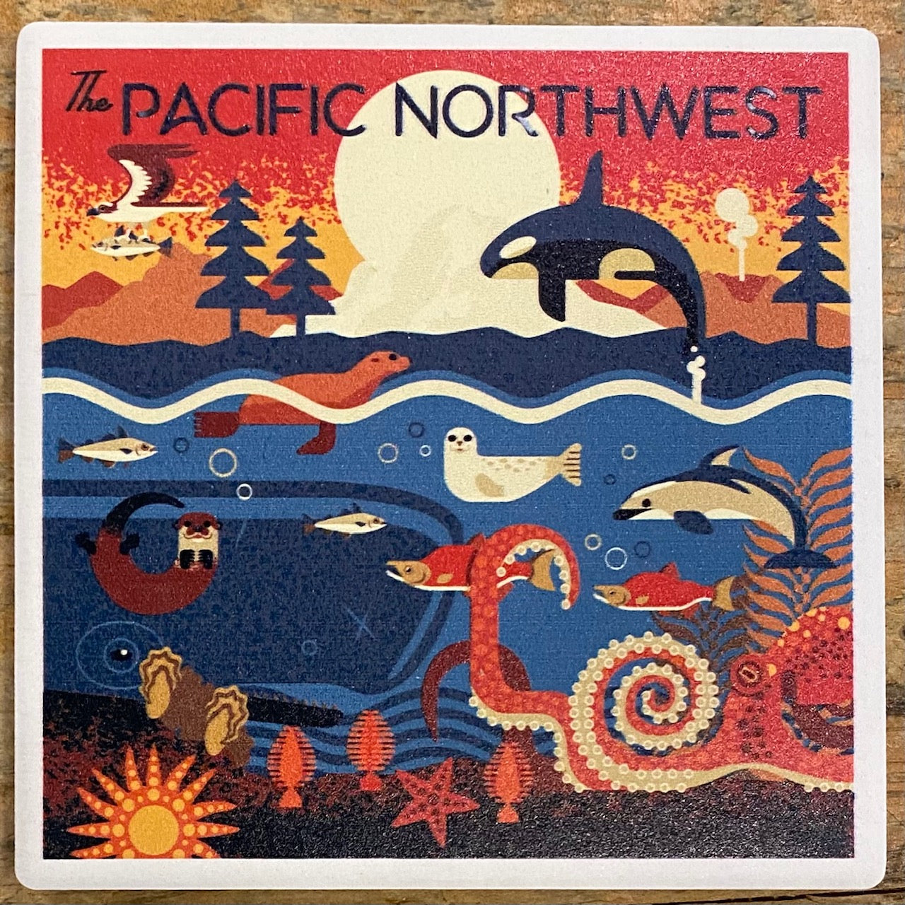 Pacific Northwest - Marine Animals - Geometric Coaster