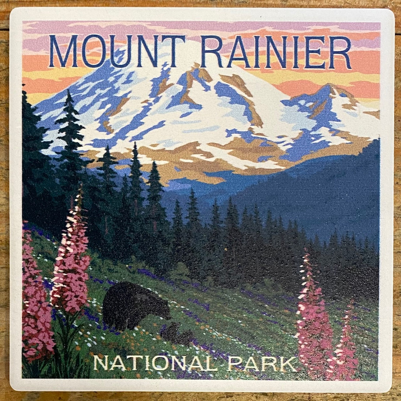 Mount Rainier National Park - Bear & Spring Flower Coaster